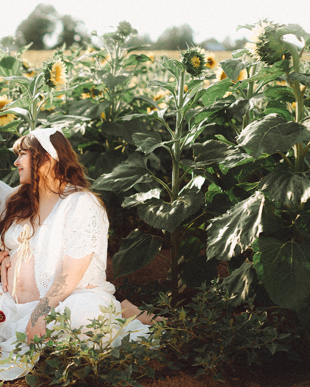 Lovestory Pregnancy Announcement Among the Sunflowers of the Wooden Shoe Tulip Farm — photograph 2 of 39
